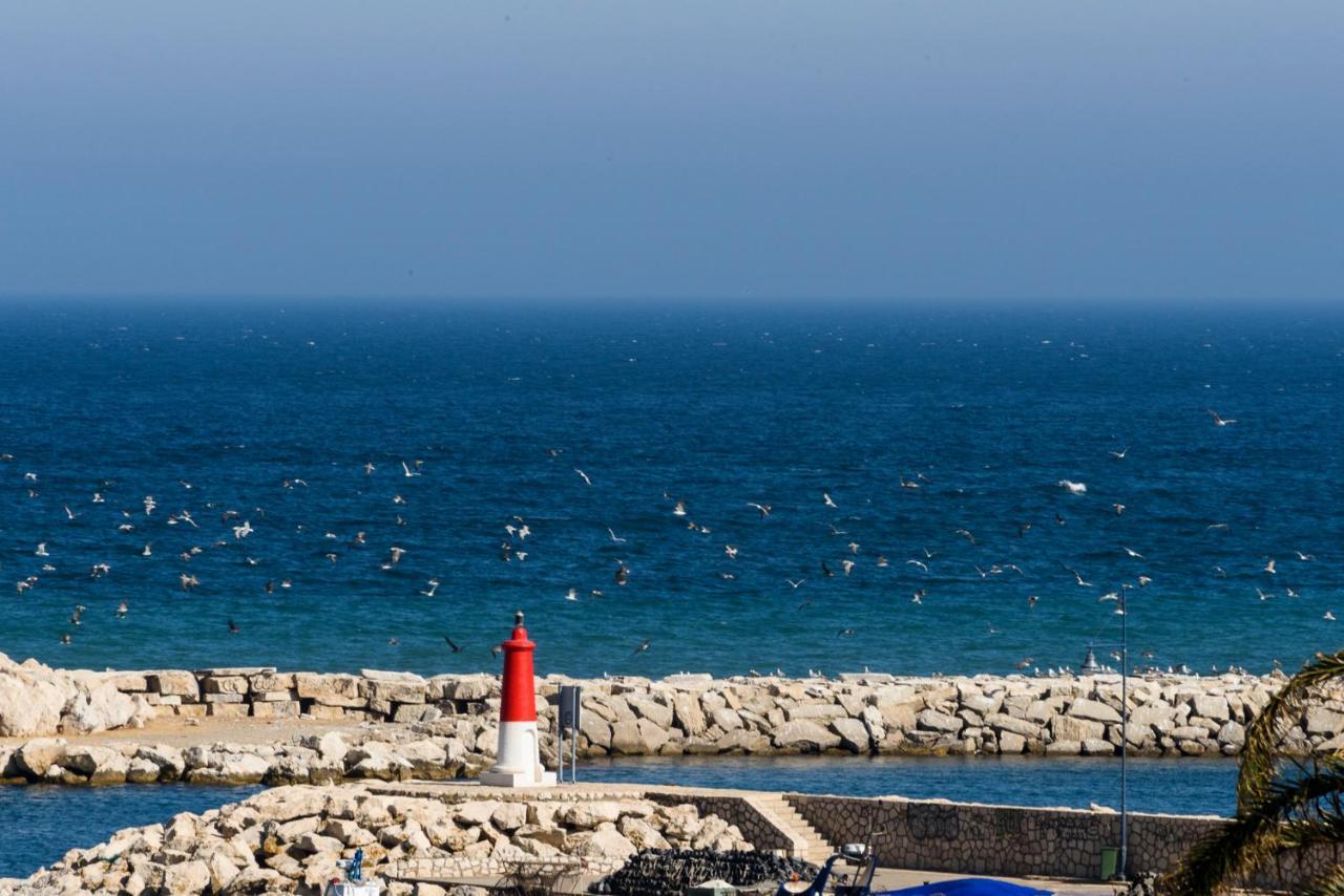 Estepona Marina With Sea Views, Pool And Parking エクステリア 写真